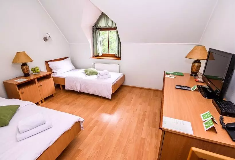 Fotos del hotel Eco Friendly Hotel Dália:  8