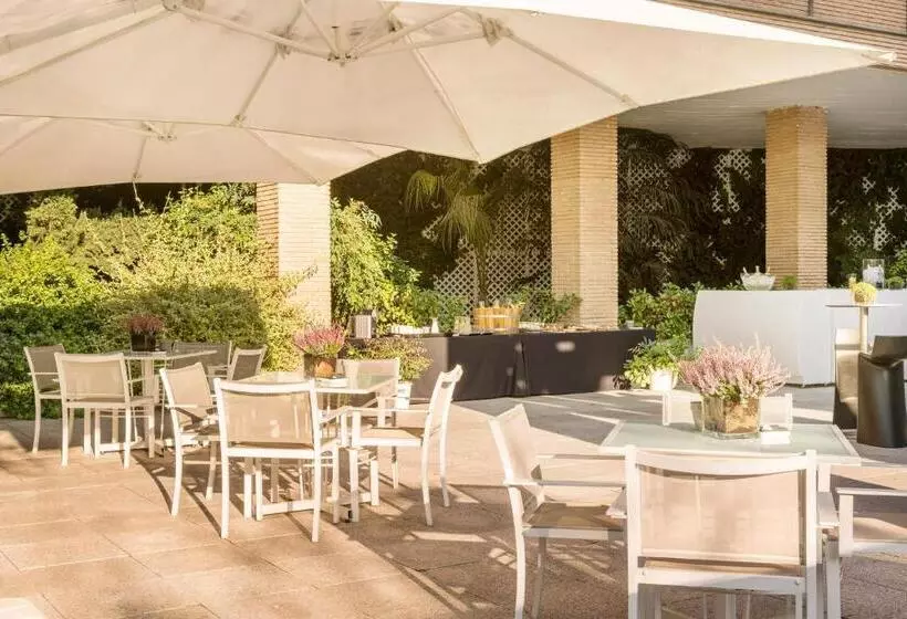 Fotos del hotel Ilunion Pio Xii:  21