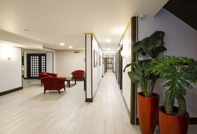 Fotos del hotel Veneza:  12