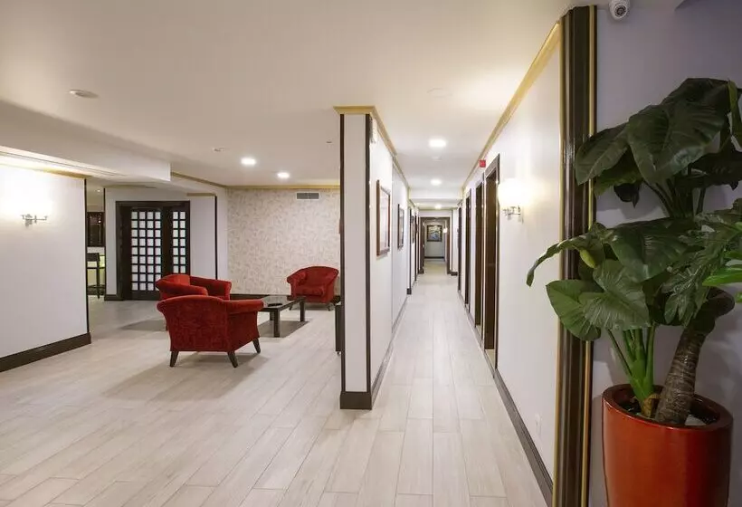 Fotos del hotel Veneza:  17