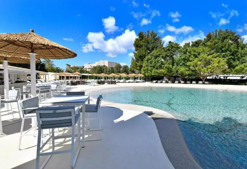 Fotos del hotel Salles Hotels Marina Portals:  6