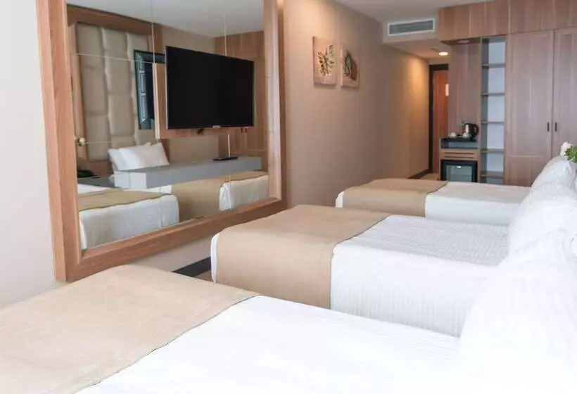 Fotos del hotel Lion:  12