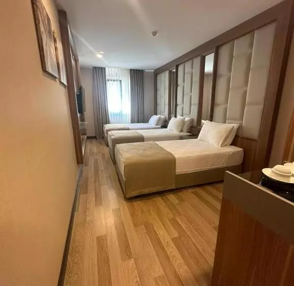 Fotos del hotel Lion:  24