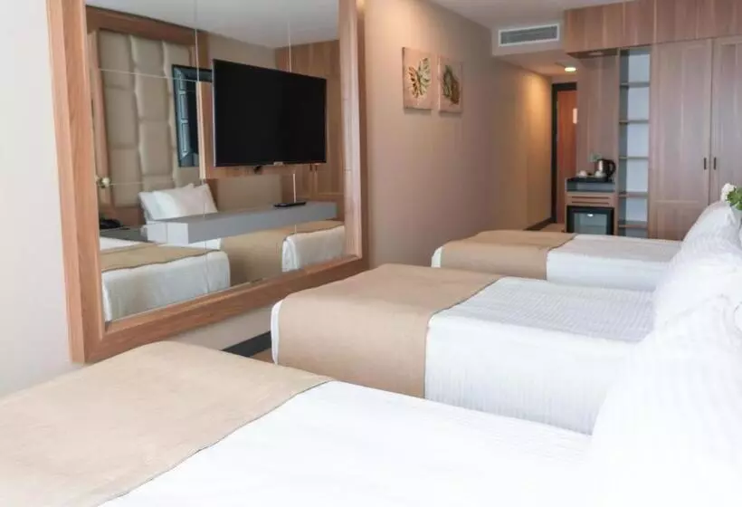 Fotos del hotel Lion:  10