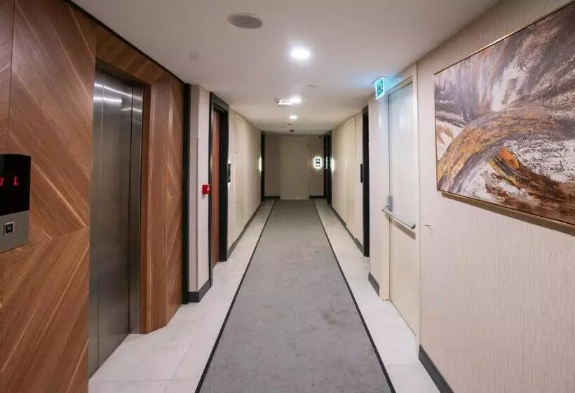 Fotos del hotel Lion:  3