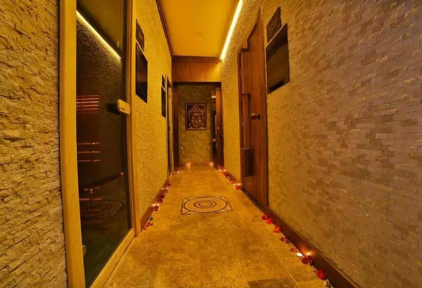 Fotos del hotel Lion:  8