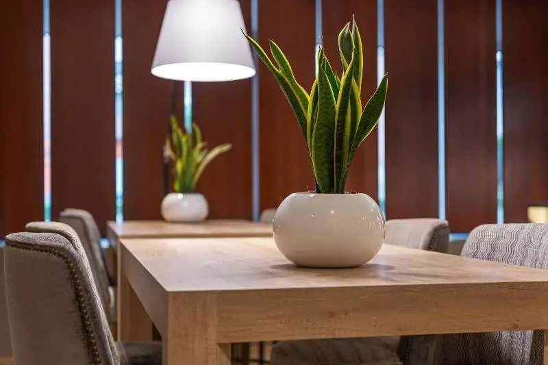 Fotos del hotel Ac  La Rioja By Marriott:  23