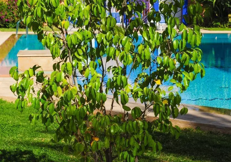 Fotos del hotel Ibis Marrakech Centre Gare:  8