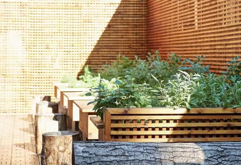 Fotos del hotel Sofitel Montreal Golden Mile:  6