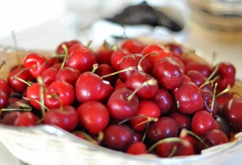 Fotos del hotel Grand Hotel Palladium Santa Eulalia Del Río:  13