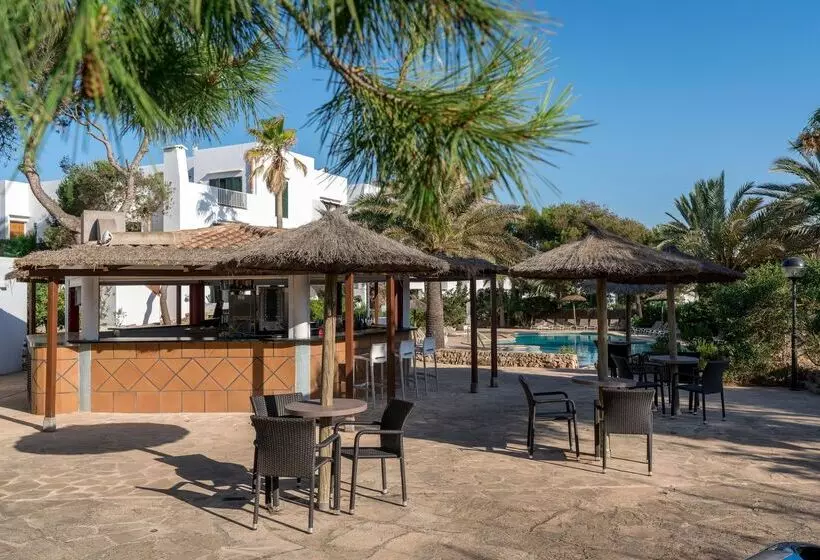 Fotos del hotel Alua Suites Las Rocas:  4