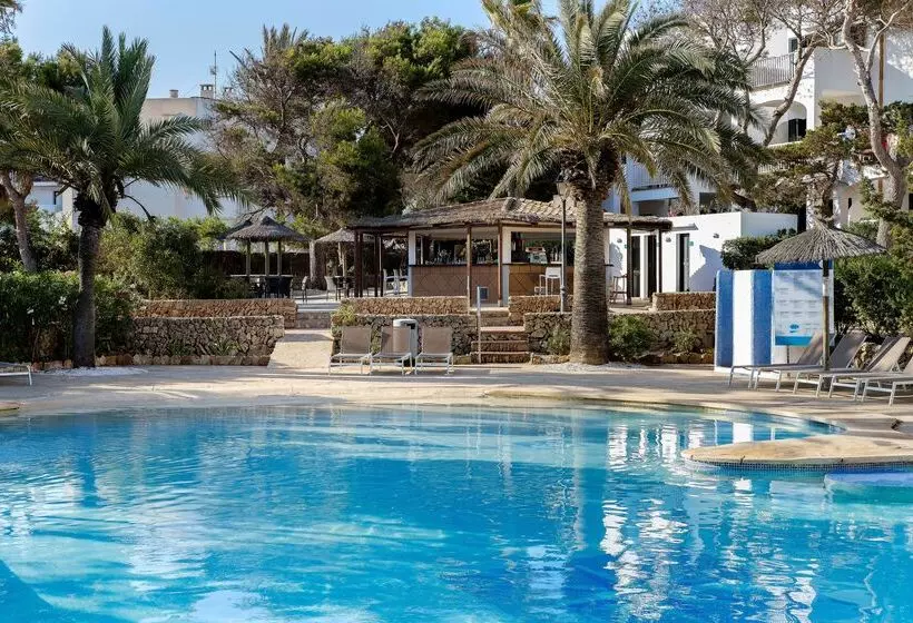 Fotos del hotel Alua Suites Las Rocas:  27