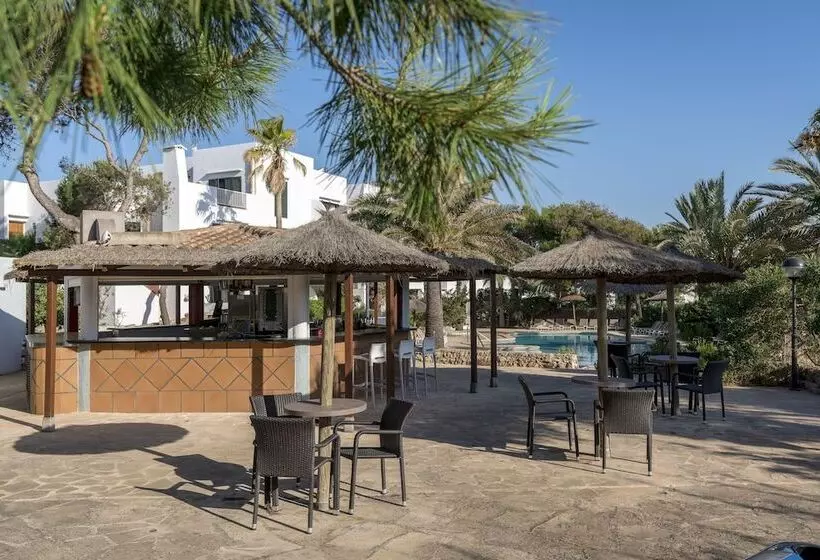 Fotos del hotel Alua Suites Las Rocas:  6