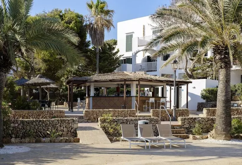 Fotos del hotel Alua Suites Las Rocas:  34