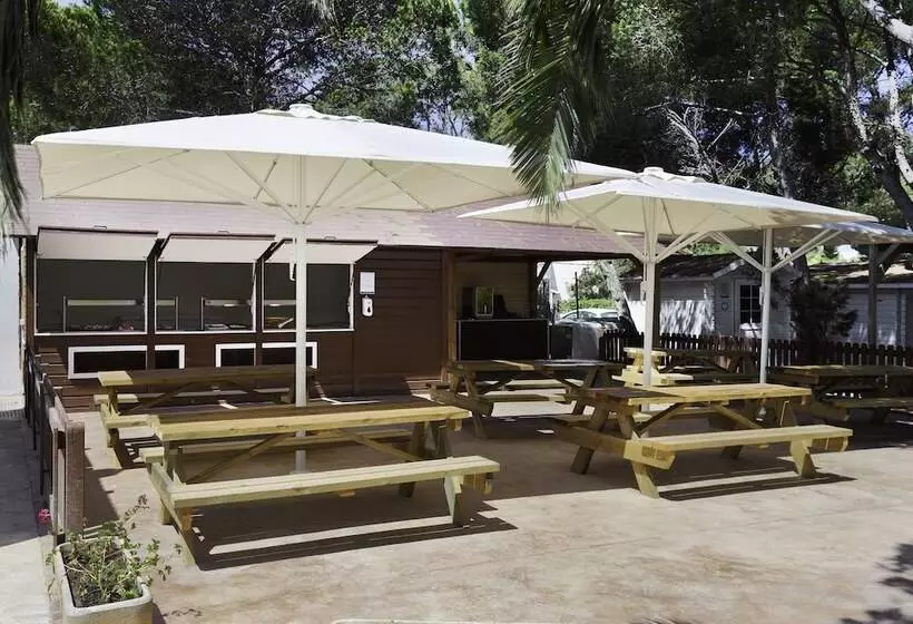 Fotos del hotel Alua Suites Las Rocas:  23