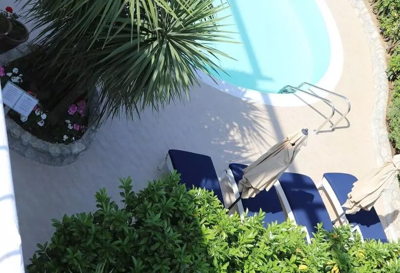 Fotos del hotel Bougainville:  8