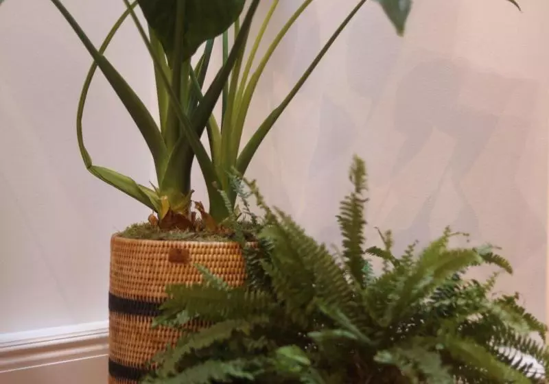 Fotos del hotel Inhabit:  13