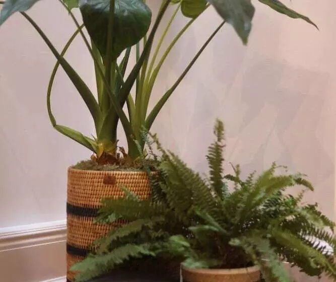 Fotos del hotel Inhabit:  5