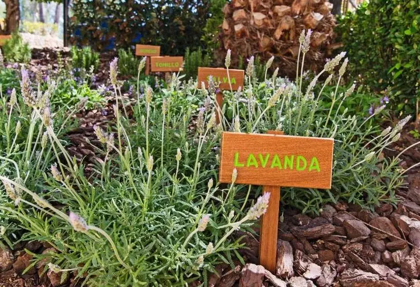 Fotos del hotel Lindner Golf Resort Portals Nous:  11