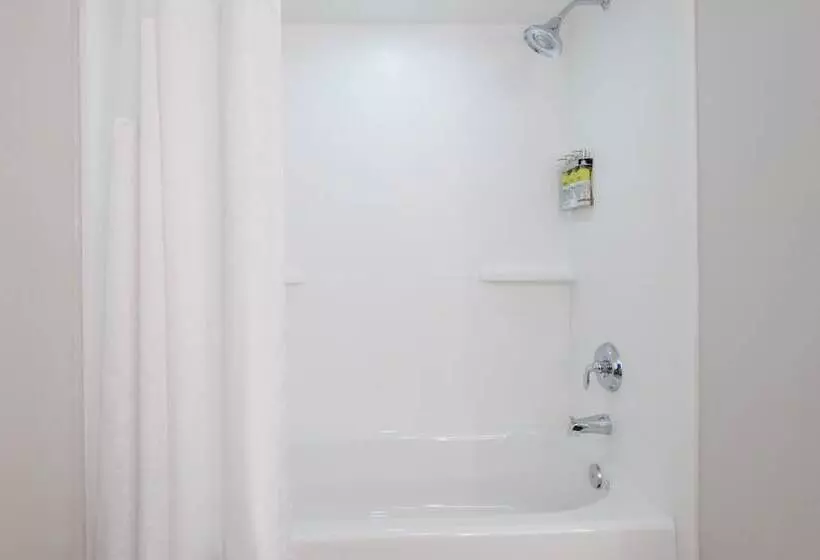 Fotos del hotel Holiday Inn Express & Suites - Nearest Universal Orlando, An Ihg:  14