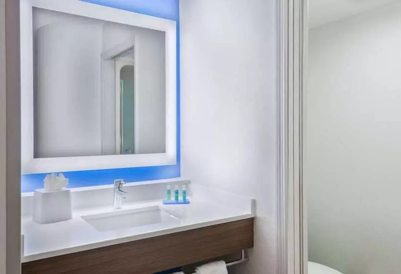 Fotos del hotel Holiday Inn Express & Suites - Nearest Universal Orlando, An Ihg:  19