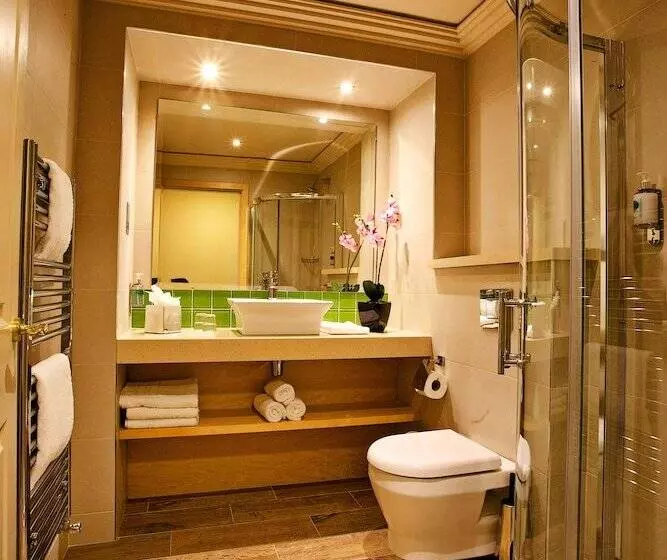 Fotos del hotel Torc Hotel:  3