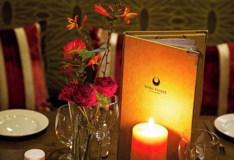 Fotos del hotel Torc Hotel:  7