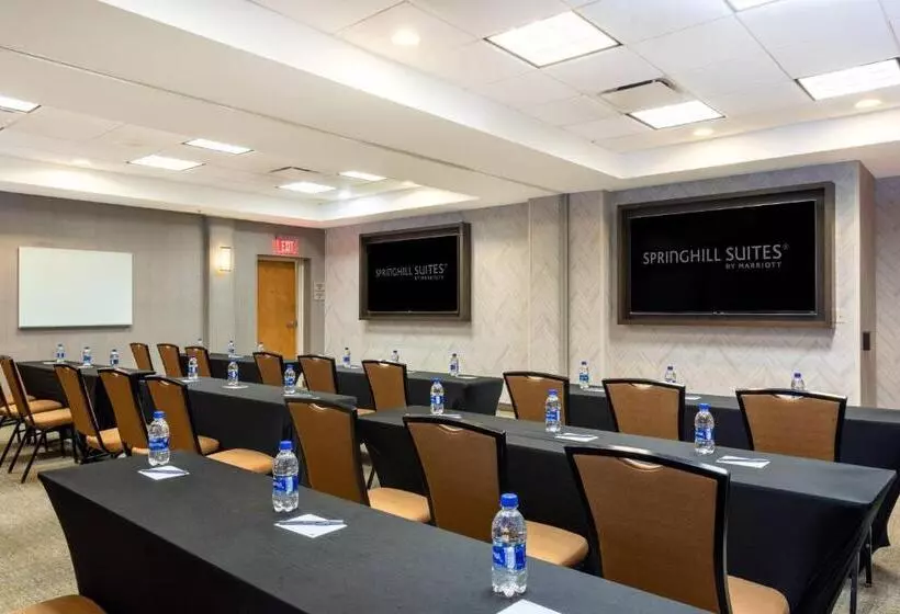 Fotos del hotel Springhill Suites Miami Airport South:  15