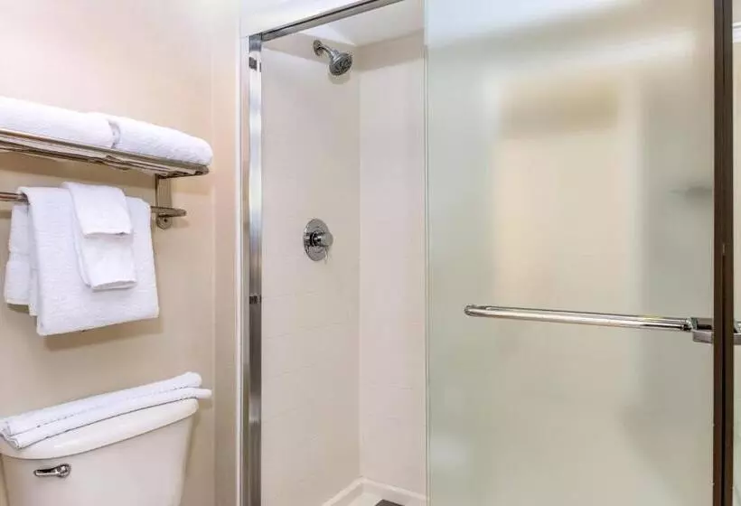 Fotos del hotel Springhill Suites Miami Airport South:  10