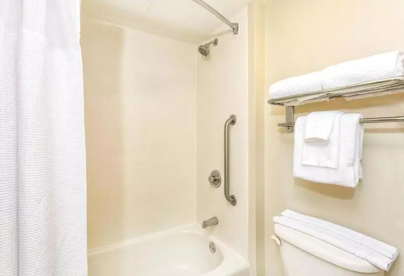 Fotos del hotel Springhill Suites Miami Airport South:  20