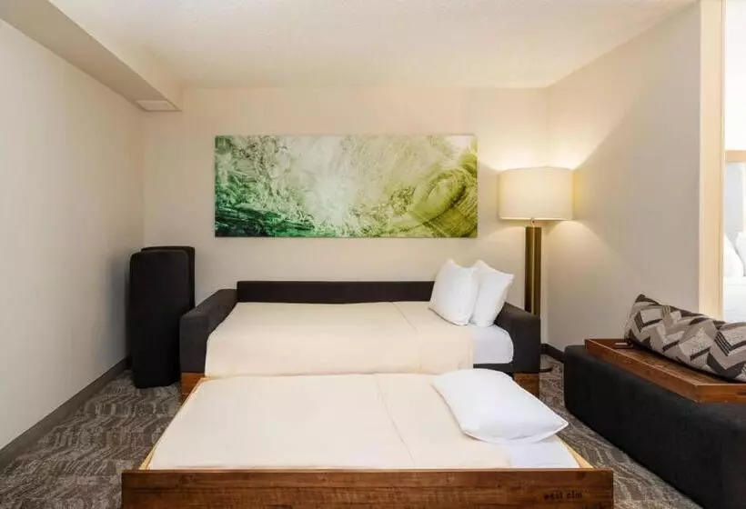 Fotos del hotel Springhill Suites Miami Airport South:  23