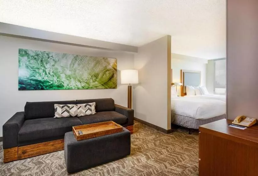 Fotos del hotel Springhill Suites Miami Airport South:  17