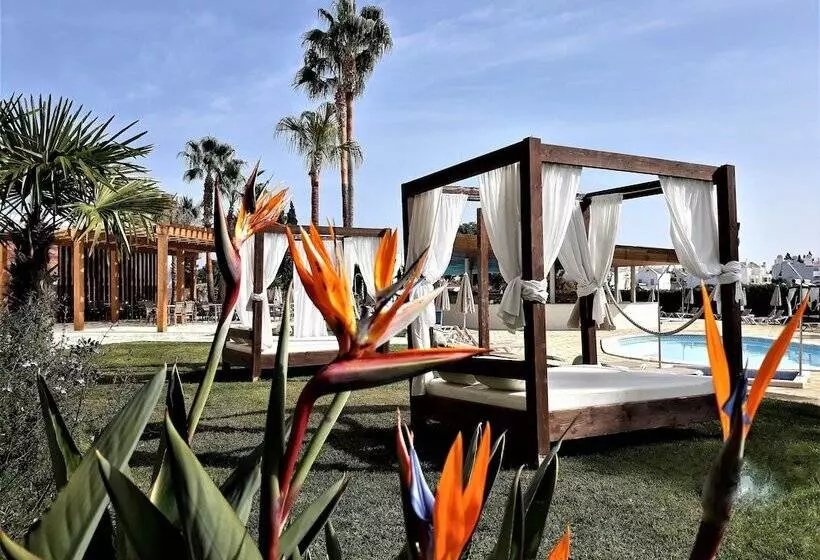 Fotos del hotel Ap Maria Nova Lounge  Adults Friendly:  18