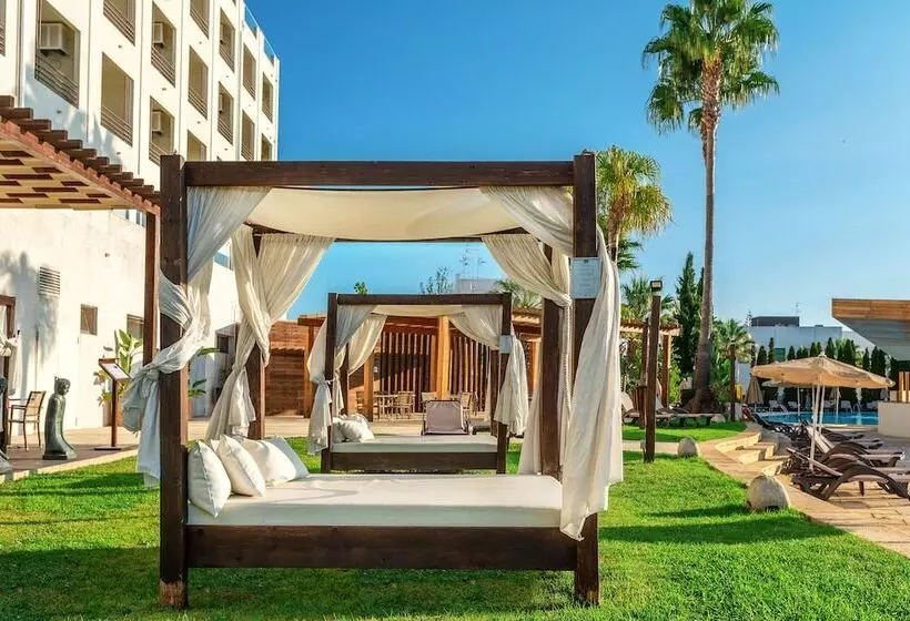 Fotos del hotel Ap Maria Nova Lounge  Adults Friendly:  19