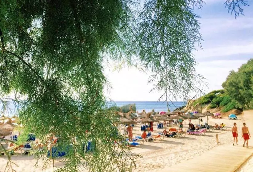 Fotos del hotel Na Forana:  20