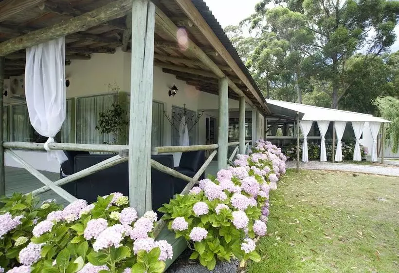 Fotos del hotel Solanas Punta Del Este Spa & Resort:  4