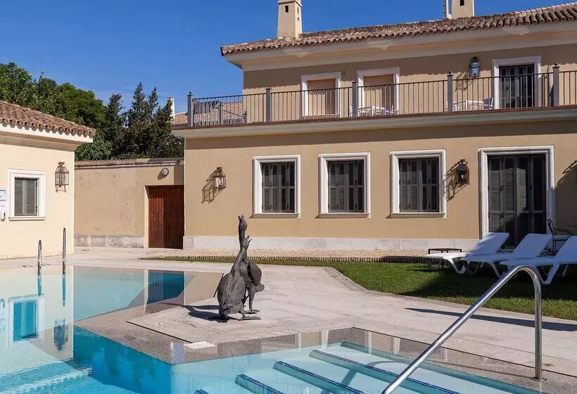 Fotos del hotel Villa Jerez:  41