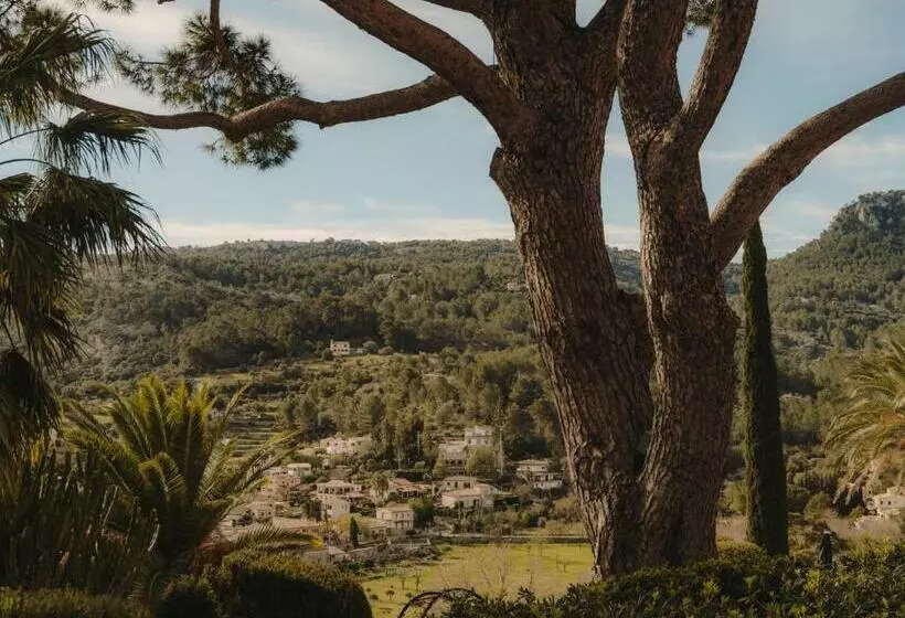 Fotos del hotel Gran  Son Net:  9