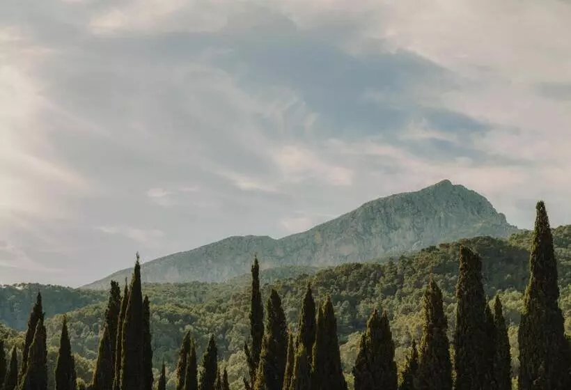 Fotos del hotel Gran  Son Net:  5