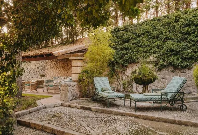 Fotos del hotel Gran  Son Net:  20