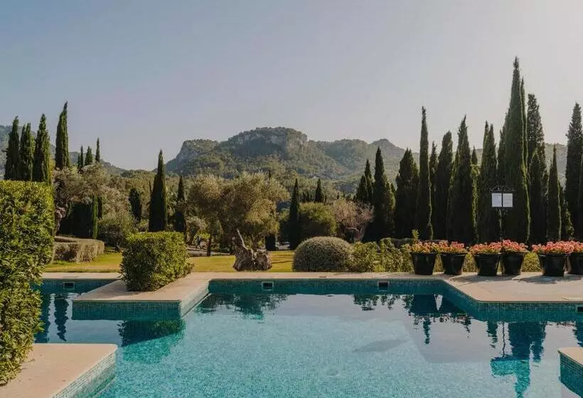 Fotos del hotel Gran  Son Net:  10