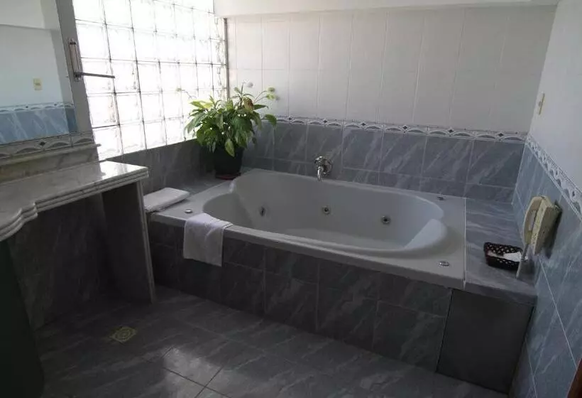 Fotos del hotel Crystal Palace:  13