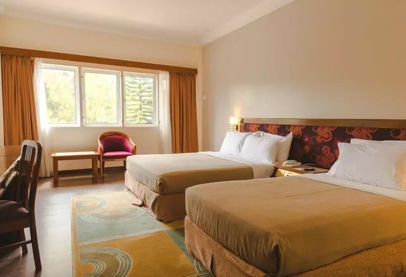 Fotos del hotel Heritage Hotel Cameron Highlands:  14