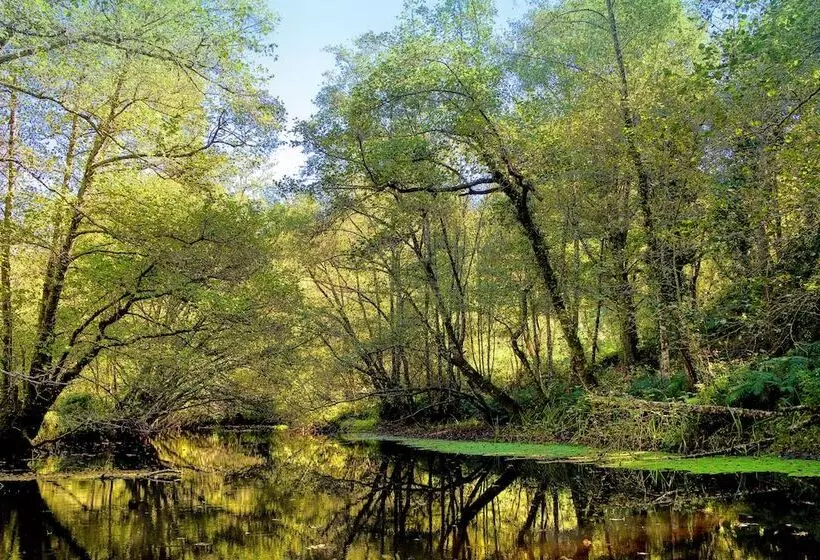 Fotos del hotel Balneario Río Pambre:  15