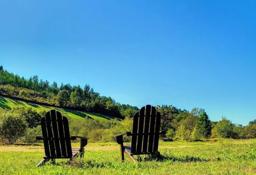 Fotos del hotel Balneario Río Pambre:  12