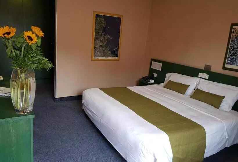 Fotos del hotel Best Western Hotel Mediterraneo:  13