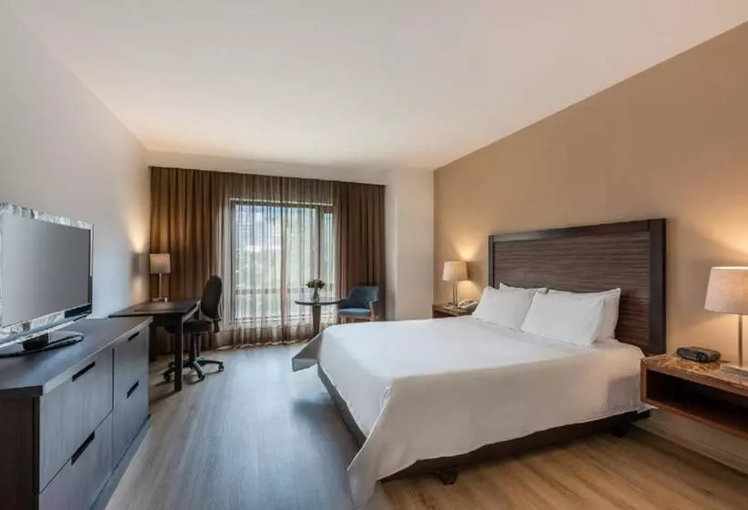 Fotos del hotel Morrison 84 By Sercotel:  2