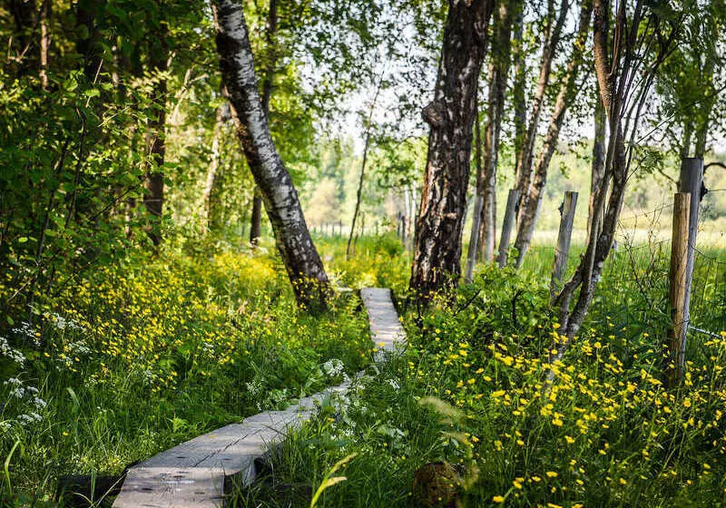 Fotos del hotel Radisson Blu Hotel Espoo:  11