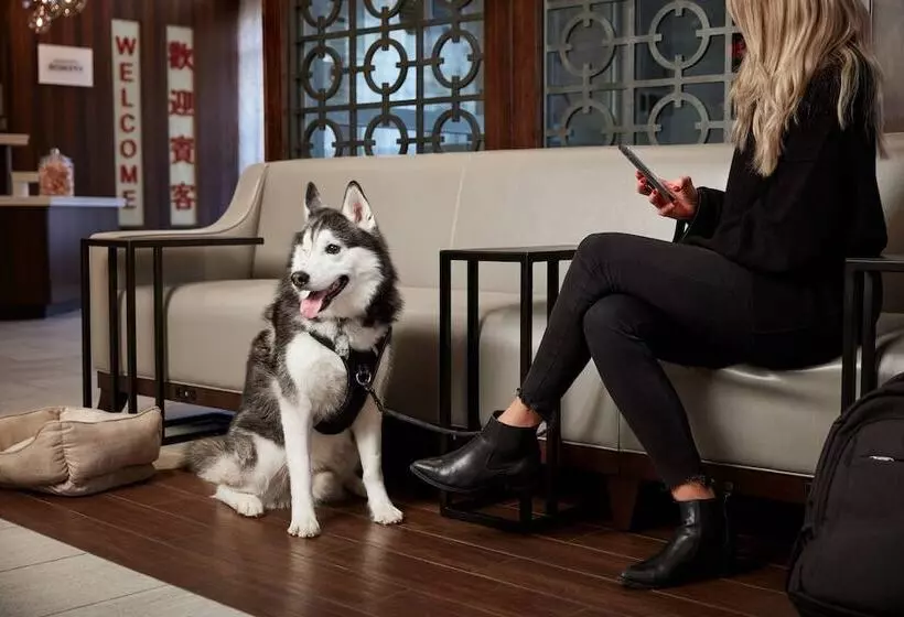 Fotos del hotel Fairfield Inn & Suites By Marriott Washington Downtown:  13