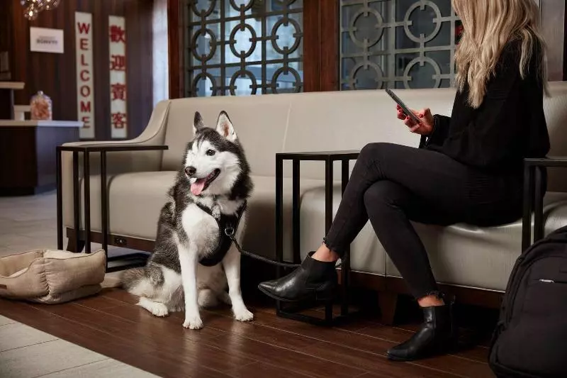 Fotos del hotel Fairfield Inn & Suites By Marriott Washington Downtown:  18